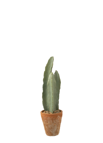 CACTUS 3 RAMIFICADOS/S