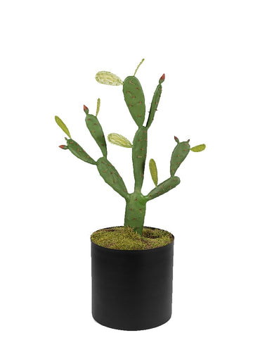 KAKTÜS 98 CM SAKSILI