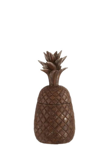 BAKIR KAPAKLI ANANAS