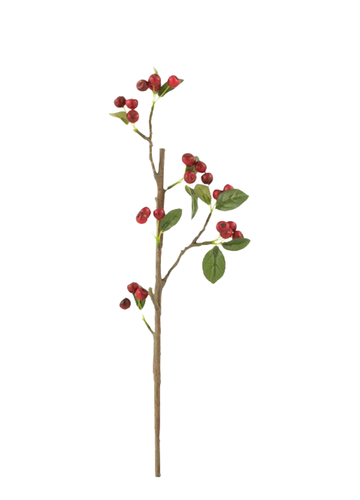BERRY DAL KIRMIZI / 47 CM