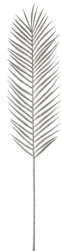 SILVERY PALM LEAF