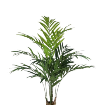 KENTIA PALM 180CM SAKSISIZ
