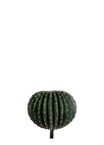 TOP KAKTÜS / 36CM