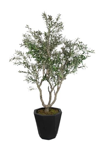ZEYTİN AĞACI / 230CM