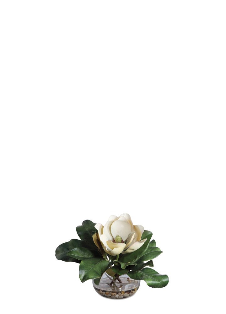 VAZODA CELIA MANOLYA 