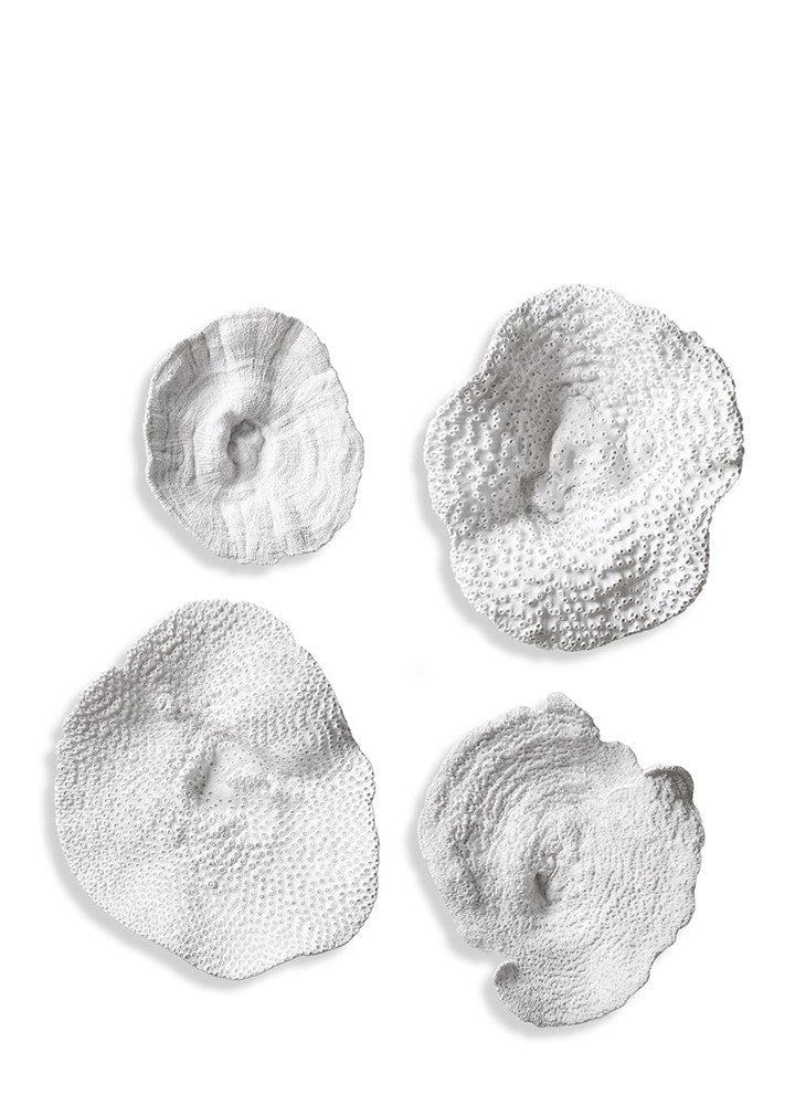 SEA CORAL WALL ART S/4