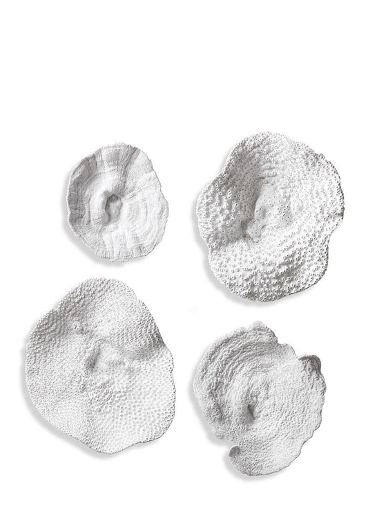 SEA CORAL WALL ART S/4