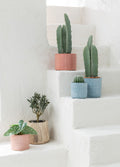 ANTHURIUM YAPAY BİTKİ / 2
