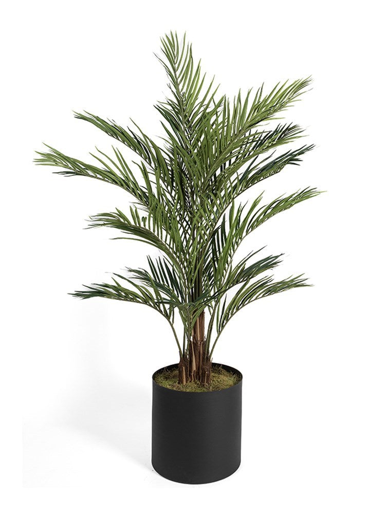 AREKA / 180CM SAKSILI