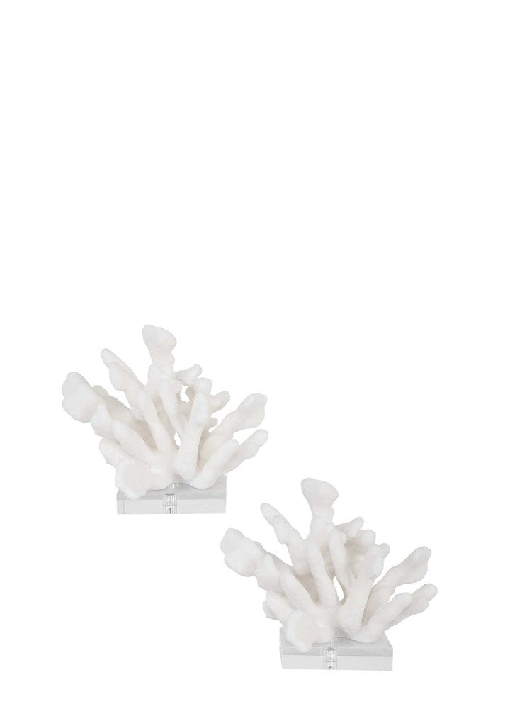 CHARBEL MERCAN KİTAP TUTUCU / BEYAZ