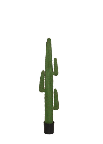 CACTUS / LIGHT GREEN