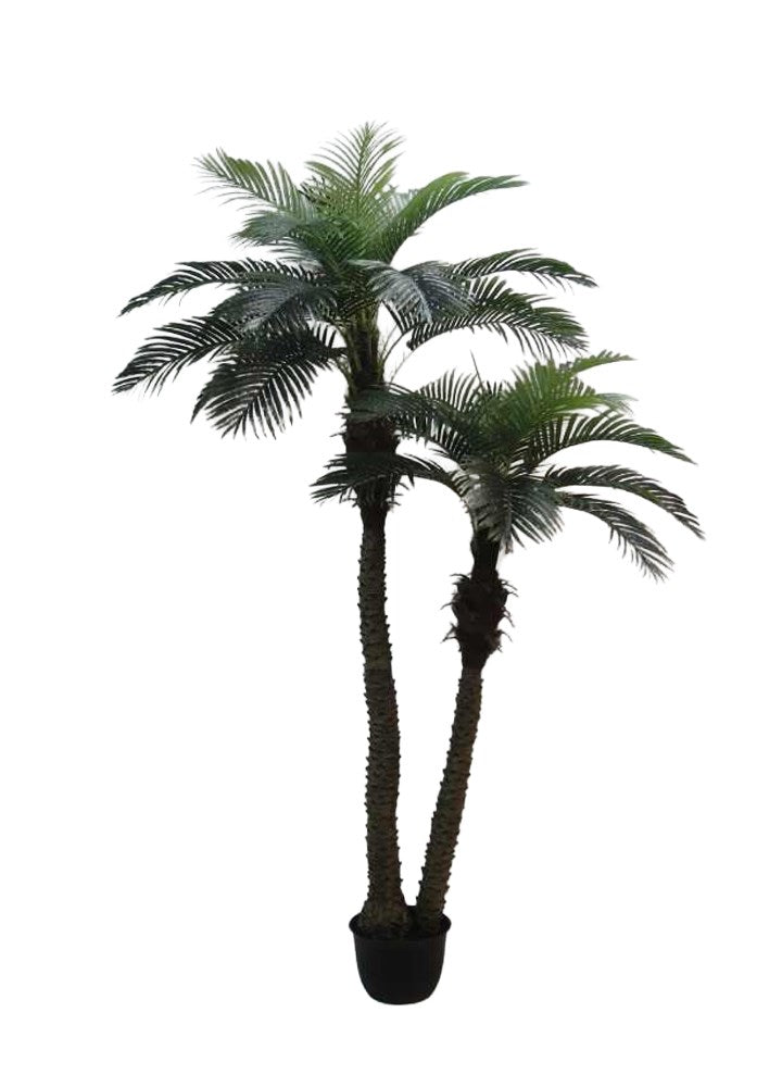 PALMİYE 2'Lİ 250CM * 30 LVS