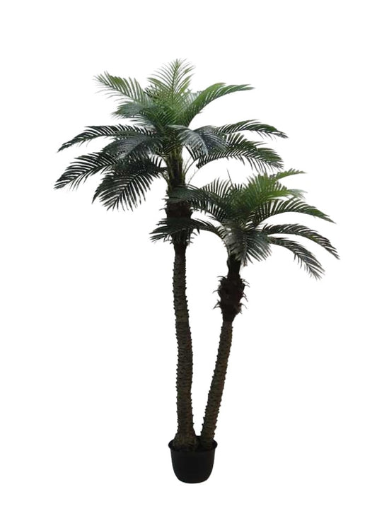 PALMİYE 2'Lİ 250CM * 30 LVS