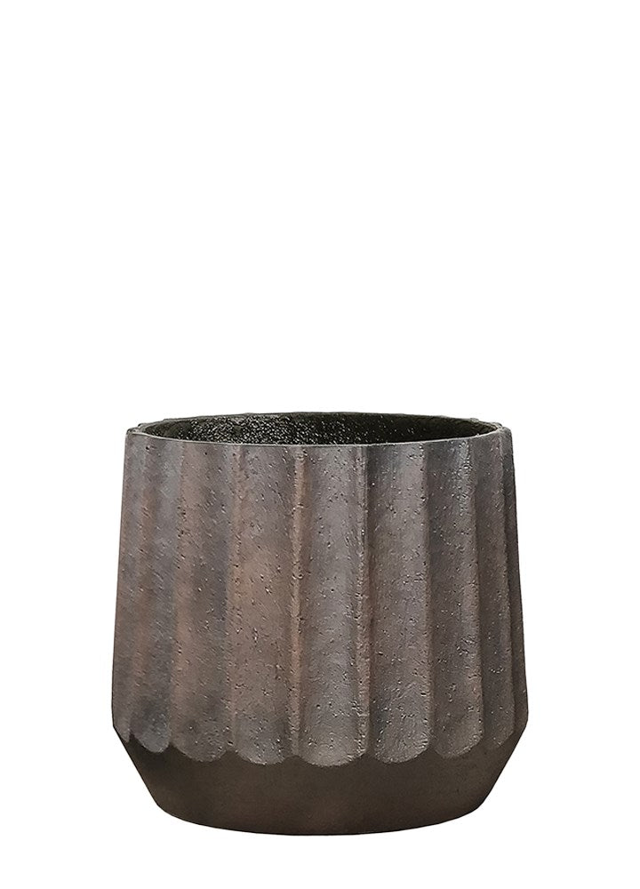 ALPHARD POT SAKSI / M