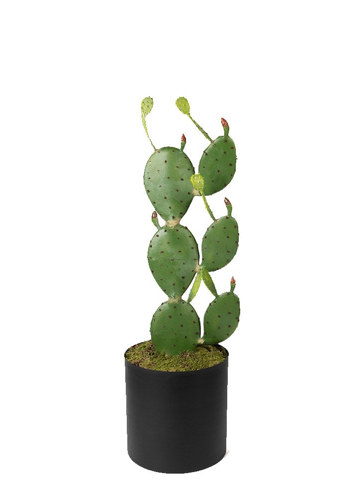 KAKTÜS 95 CM SAKSILI