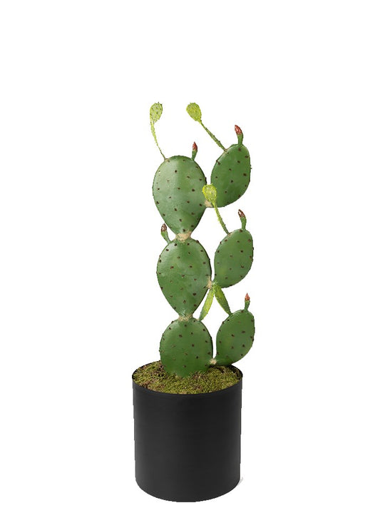 KAKTÜS 95 CM SAKSILI
