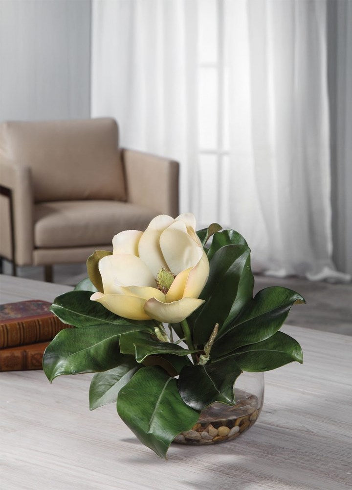 VAZODA CELIA MANOLYA 