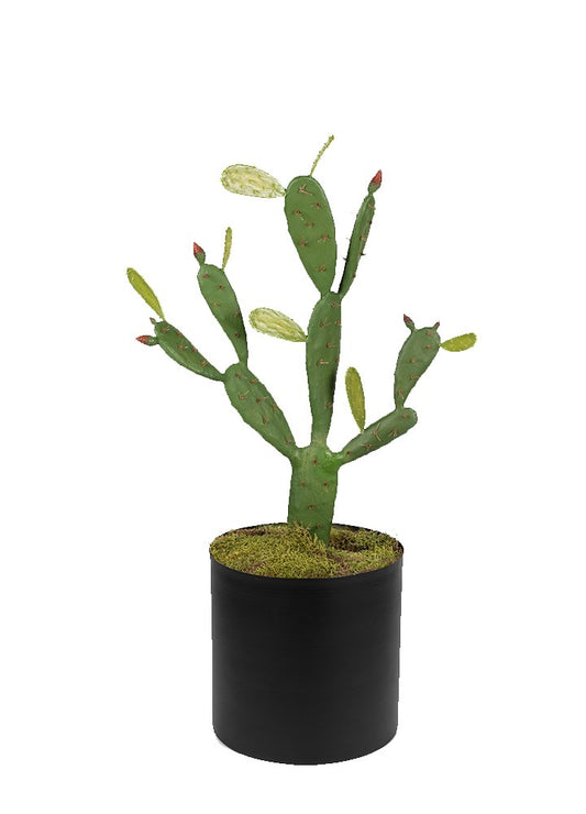 KAKTÜS SAKSILI / 98 CM 