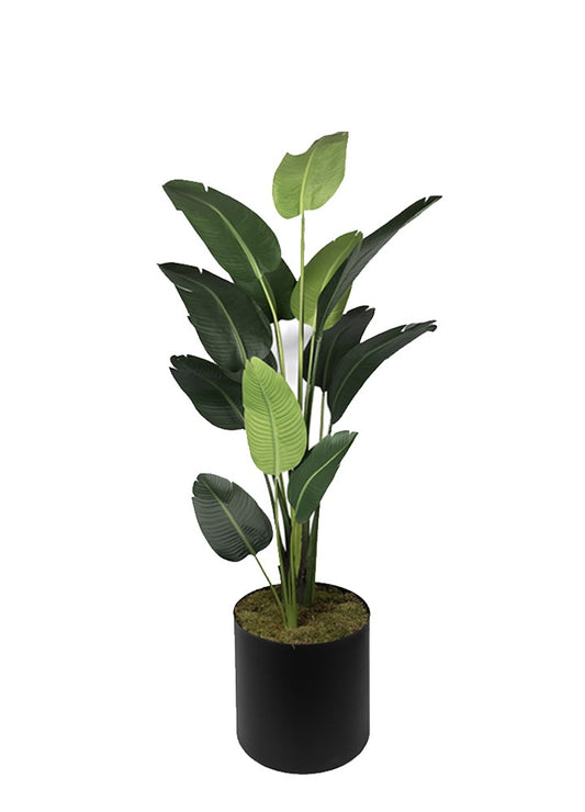 STARLİÇE MAT 220CM 13LVS  ÜRETİM SAKSILI
