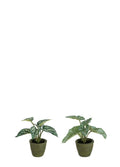 ANTHURIUM YAPAY BİTKİ / 2