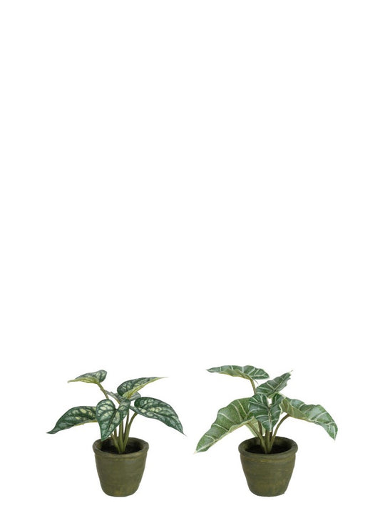 ANTHURIUM YAPAY BİTKİ / 2