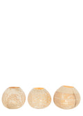 COCONUT T-LİGHT / DALGALI