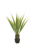 LISA DEV AGAVE / 115 cm