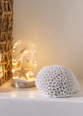 SHELL CAM FANUS LEDLİ / S 