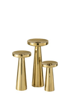 MUSH GOLD ŞAMDAN / M