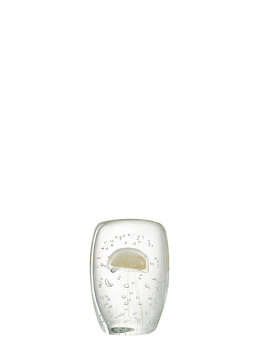 DENİZ ANASI CAM KAĞIT AĞIRLIĞI / BEJ M