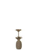 ANANAS MUMLUK / S