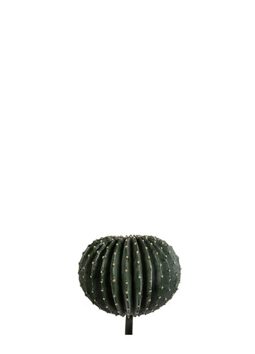 TOP KAKTÜS 30CM