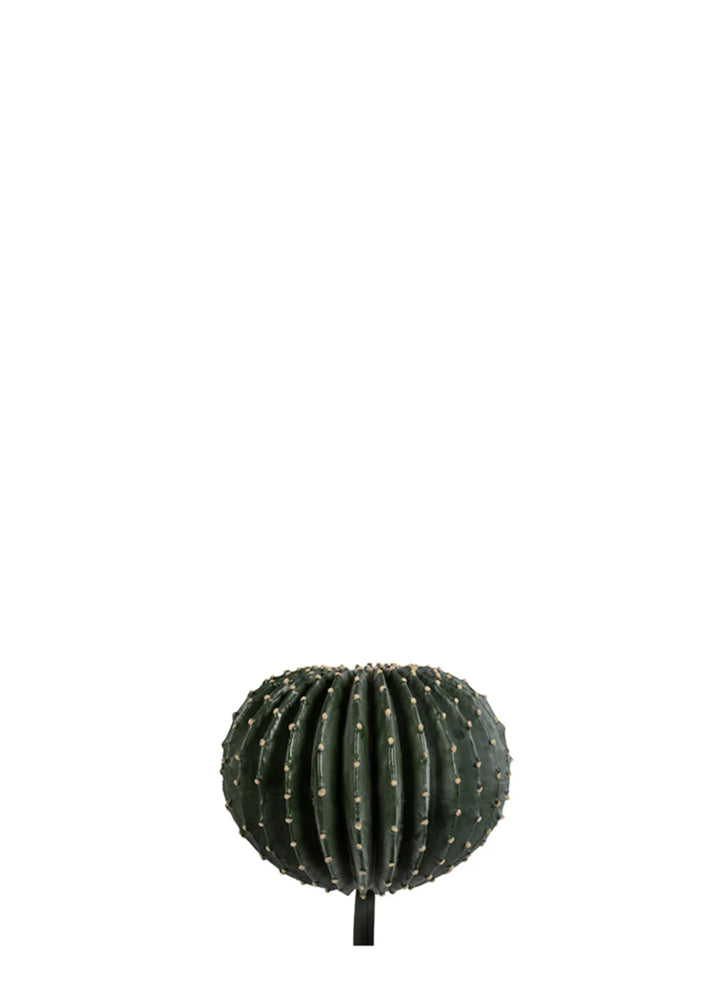 TOP KAKTÜS / 26CM