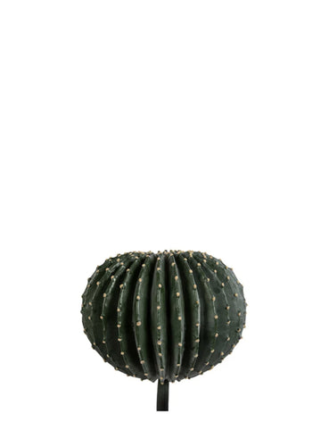 TOP KAKTÜS / 36CM