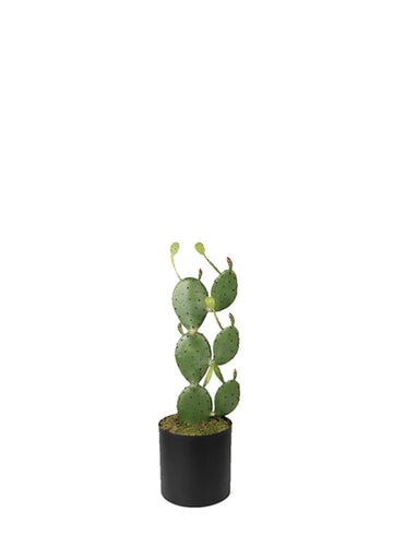 KAKTÜS 95 CM SAKSILI