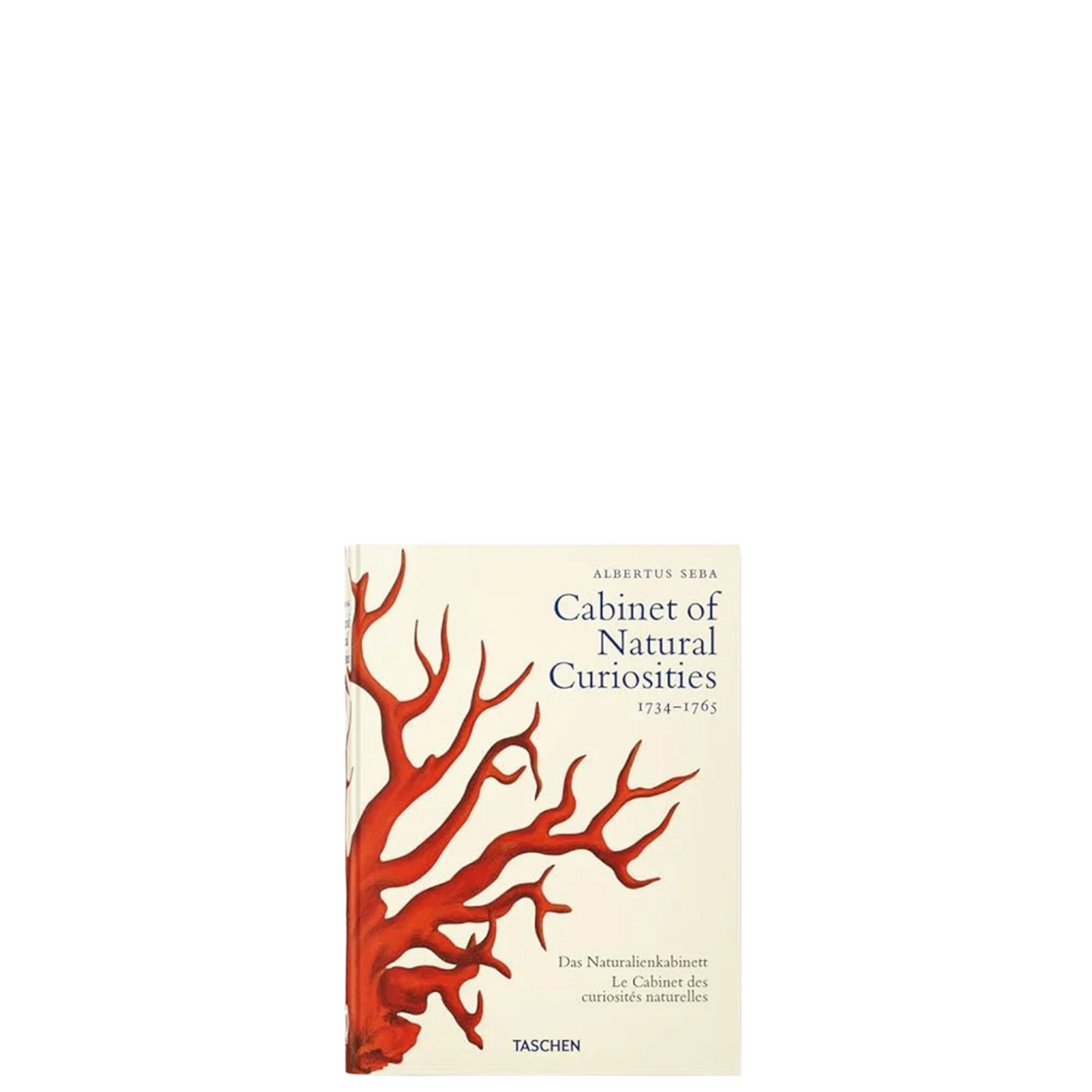 CABİNET OF NATURAL CURİOSİTİES