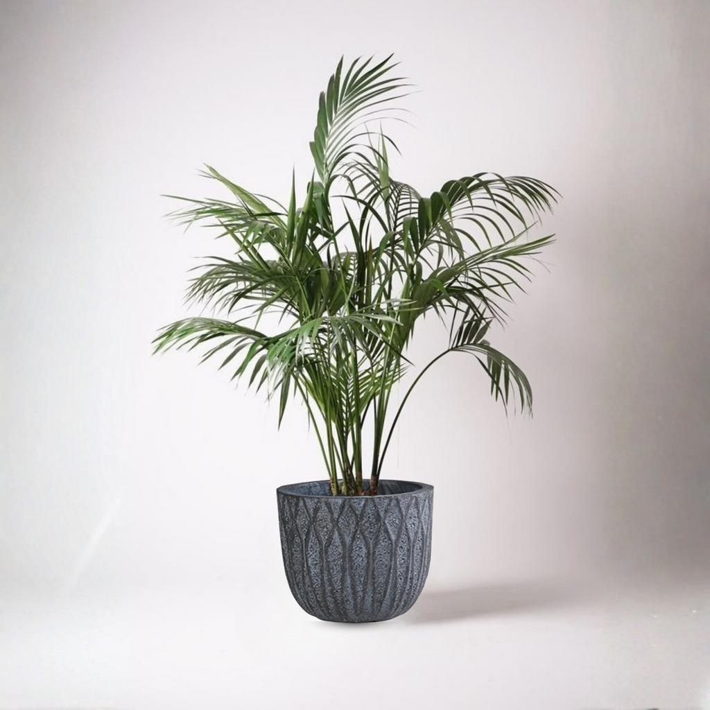 AZHA POT SAKSI / 45*45*38,5 CM