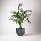 AZHA POT SAKSI / 45*45*38,5 CM