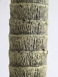 YUCCA TEKLİ 210CM