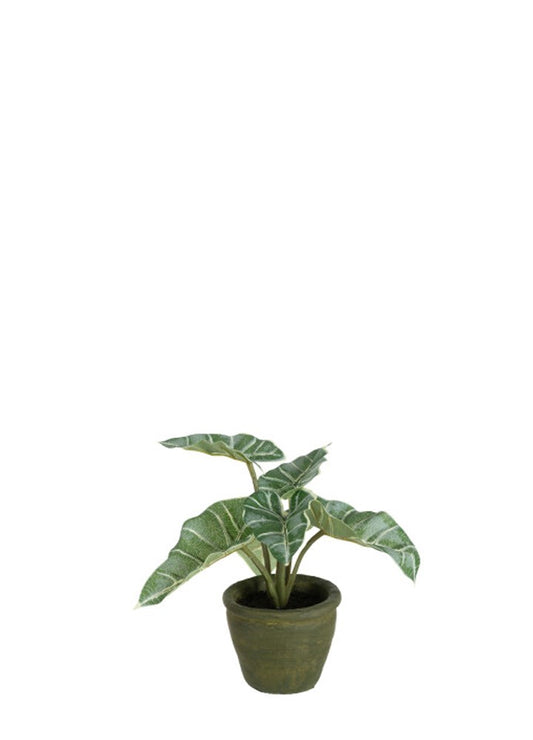 ANTHURIUM YAPAY BİTKİ / 2
