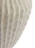 CACTI MAT BEJ SAKSI / 45 CM