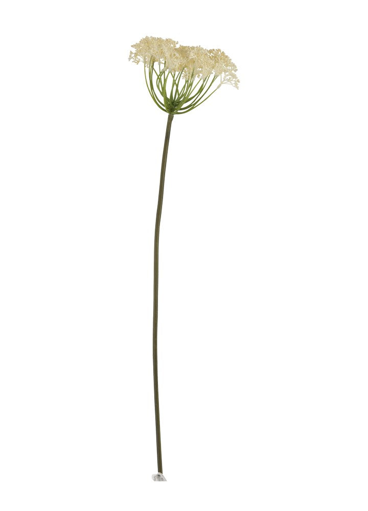 SEDUM BEJ DAL / 81 CM