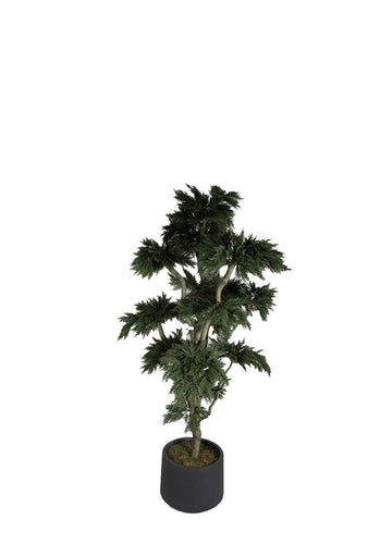 UV BONSAI-ÇAM SAKSILI / 180 CM
