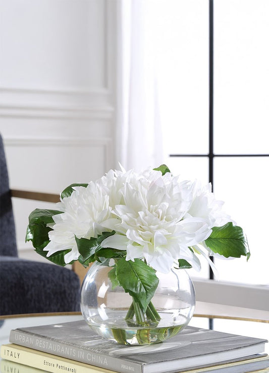CAM VAZODA DAHLIA