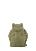 YEŞİL KURBAĞA SAKSI / 30,5 CM 