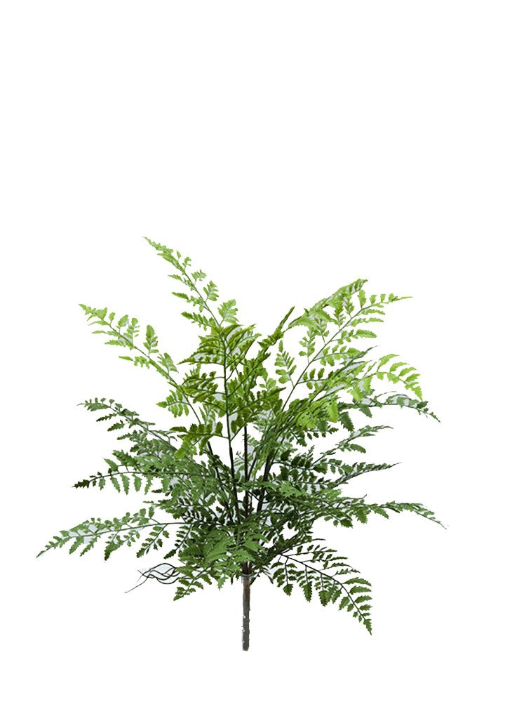 DEMET BİTKİ 70CM
