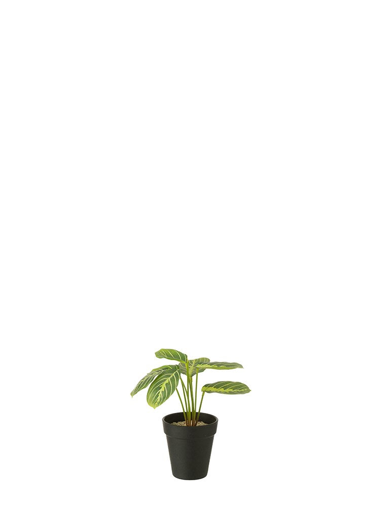MERANTO YAPAY BİTKİ / 23 CM