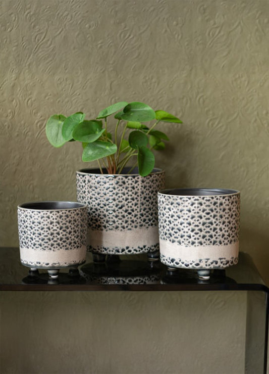 PILEA YAPAY BİTKİ