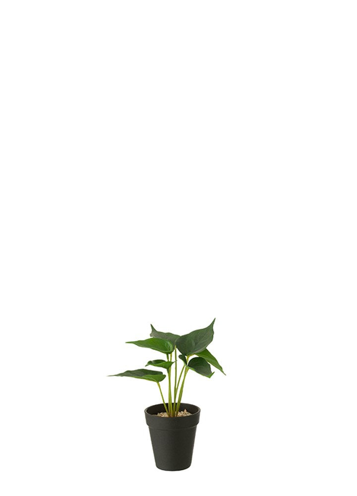 MYKONO YAPAY BİTKİ / 23 CM