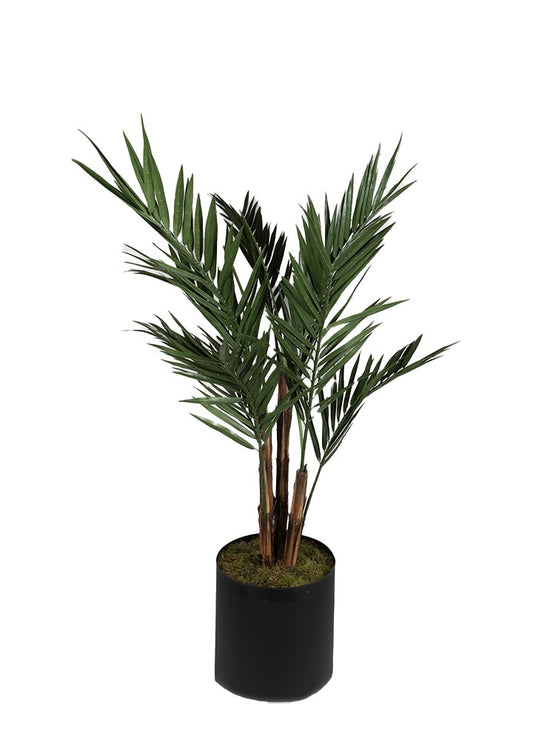 UV KENTIA SAKSILI / 213 CM 